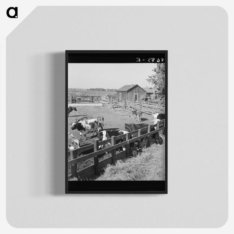 2-45_Dorothea-Lange_blk-crop