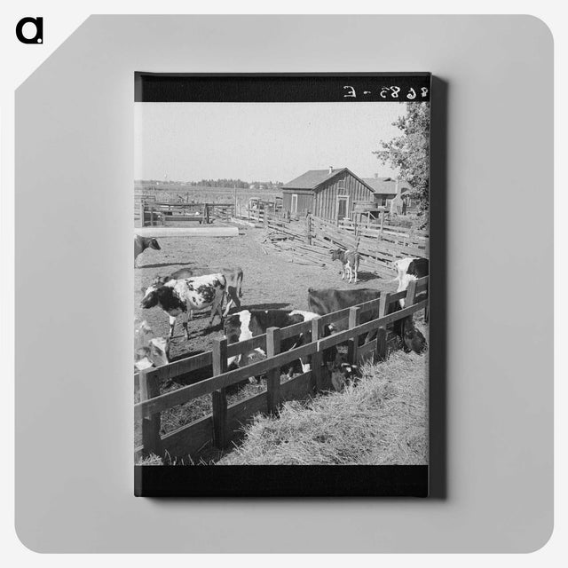 2-45_Dorothea-Lange_canvas