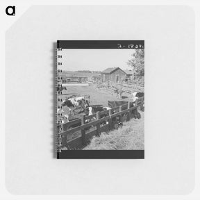 アートメモ帳-Untitled photo - ドロテア ラング Memo.