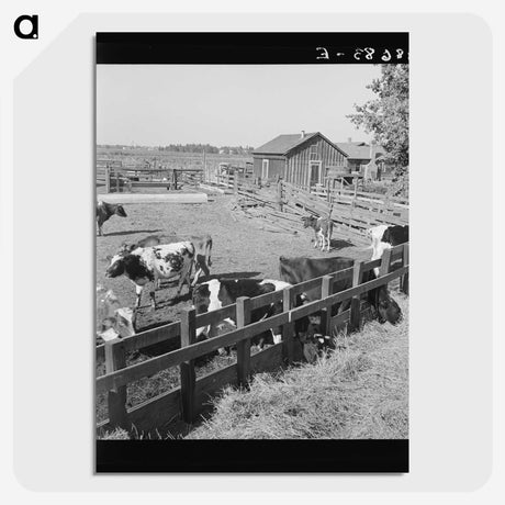2-45_Dorothea-Lange_picture-crop