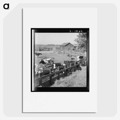 2-45_Dorothea-Lange_picture