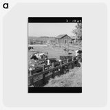 2-45_Dorothea-Lange_postcard