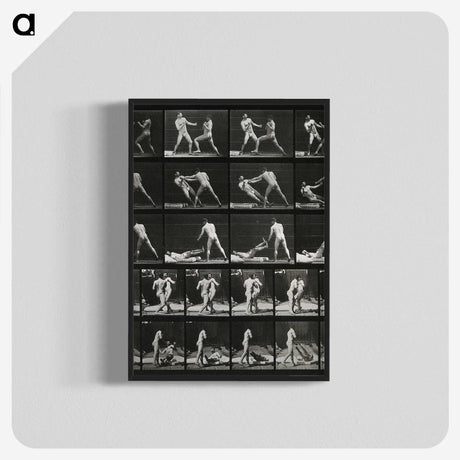 2-45_Eadweard-Muybridge_blk-crop