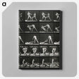 2-45_Eadweard-Muybridge_canvas