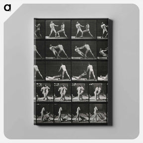 アートパネル-Boxing Match
 - エドワード マイブリッジ Canvas.