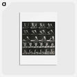 アートポストカード-Boxing Match
 - エドワード マイブリッジ Postcard.