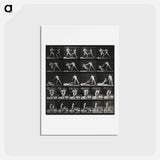 アートポストカード-Boxing Match
 - エドワード マイブリッジ Postcard.