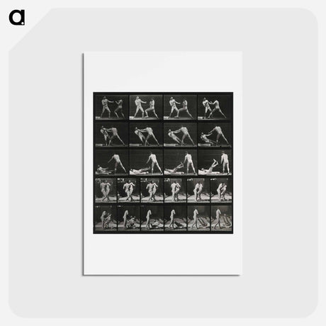 アートポストカード-Boxing Match
 - エドワード マイブリッジ Postcard.