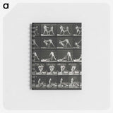 2-45_Eadweard-Muybridge_memo
