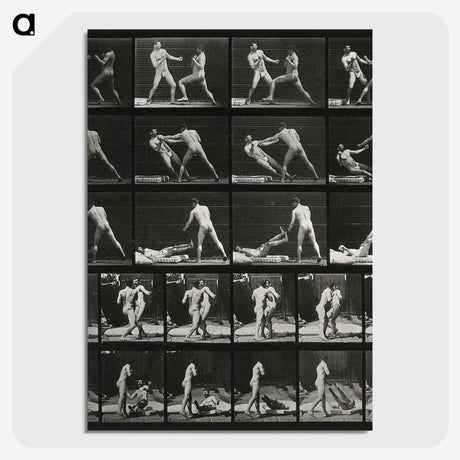2-45_Eadweard-Muybridge_picture-crop