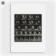2-45_Eadweard-Muybridge_picture
