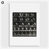 2-45_Eadweard-Muybridge_picture