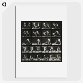 2-45_Eadweard-Muybridge_picture