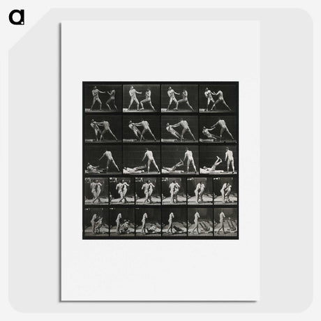 2-45_Eadweard-Muybridge_picture