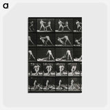 アートポストカード-Boxing Match
 - エドワード マイブリッジ Postcard.