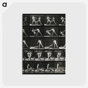 2-45_Eadweard-Muybridge_postcard