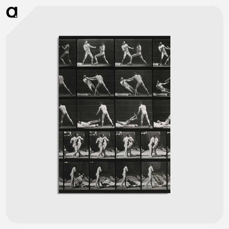 アートポストカード-Boxing Match
 - エドワード マイブリッジ Postcard.
