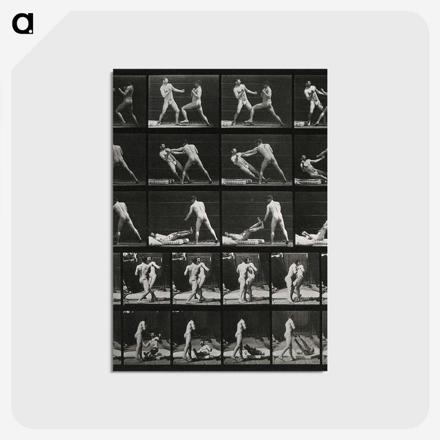 2-45_Eadweard-Muybridge_postcard