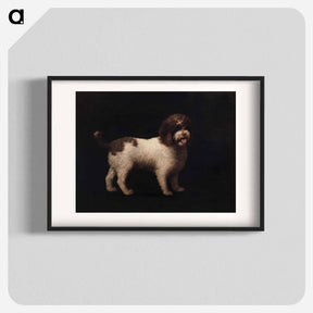 アートポスター-Water Spaniel
 - ジョージ スタッブス Poster.