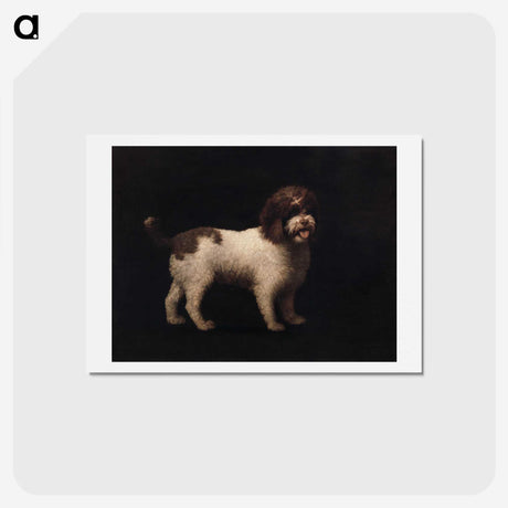 2-45_George-Stubbs_hagaki