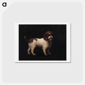 アートポストカード-Water Spaniel
 - ジョージ スタッブス Postcard.