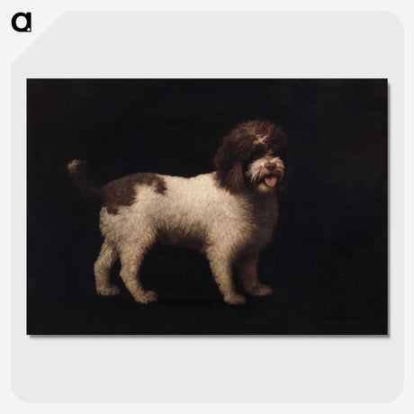 2-45_George-Stubbs_picture-crop