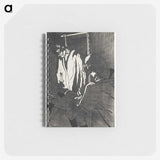 2-45_Henri-de-Toulouse-Lautrec_memo