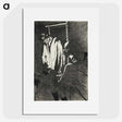 2-45_Henri-de-Toulouse-Lautrec_picture
