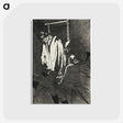 2-45_Henri-de-Toulouse-Lautrec_postcard