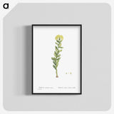 2-45_Histoire-des-Plantes-Grasses_blk-crop