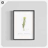 2-45_Histoire-des-Plantes-Grasses_blk