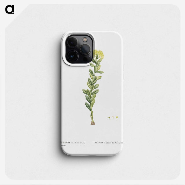 2-45_Histoire-des-Plantes-Grasses_phone