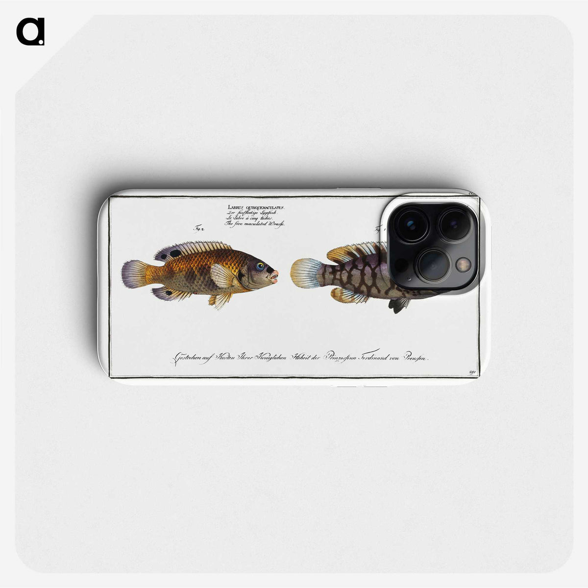 2-45_Ichtyologie-ou-Histoire-naturelle_phone