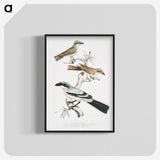2-45_Indian-Zoology_blk-crop