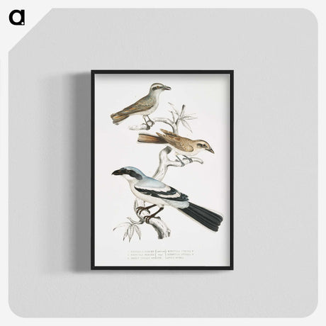 2-45_Indian-Zoology_blk-crop