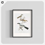 2-45_Indian-Zoology_blk