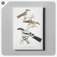 2-45_Indian-Zoology_canvas