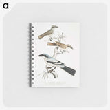 2-45_Indian-Zoology_memo