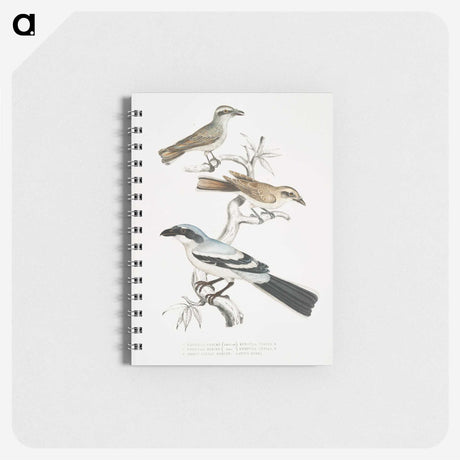 2-45_Indian-Zoology_memo
