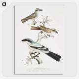 2-45_Indian-Zoology_picture-crop