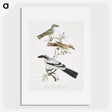 2-45_Indian-Zoology_picture