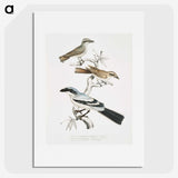 2-45_Indian-Zoology_picture