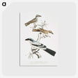 2-45_Indian-Zoology_postcard