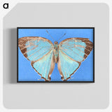 2-45_Insects-Unlocked-Project_blk-crop