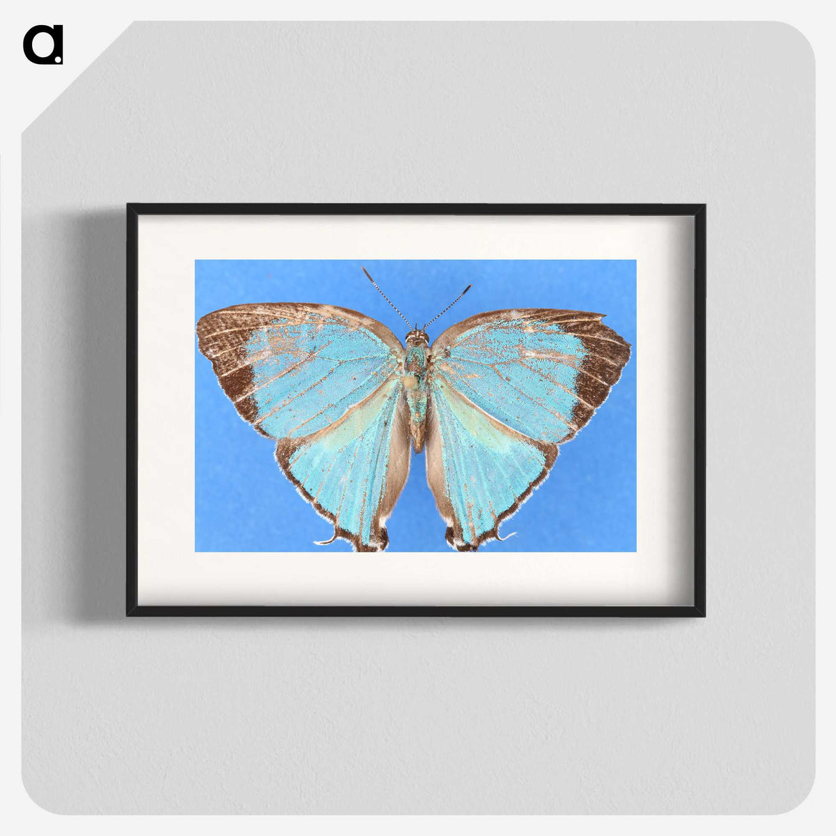 2-45_Insects-Unlocked-Project_blk