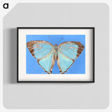2-45_Insects-Unlocked-Project_blk