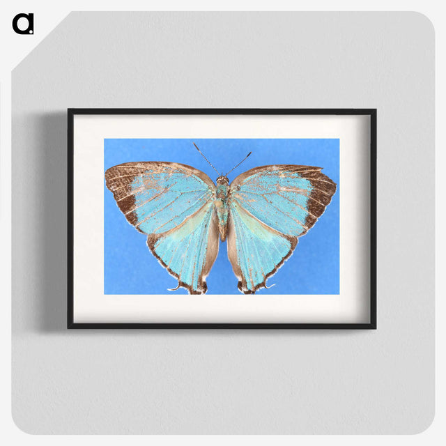 2-45_Insects-Unlocked-Project_blk