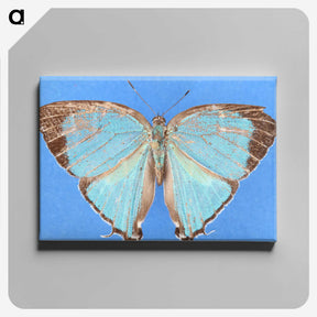 2-45_Insects-Unlocked-Project_canvas