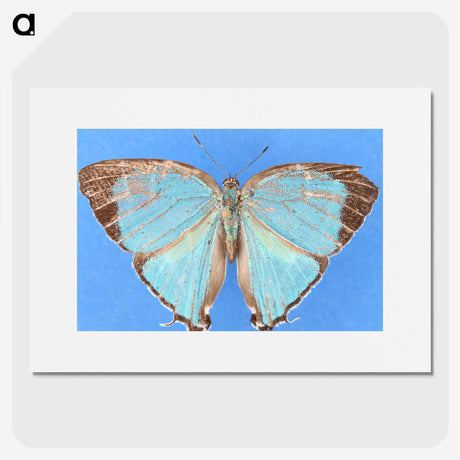 2-45_Insects-Unlocked-Project_picture