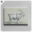 アートパネル-Standing goat - ジャン ベルナール Canvas.
